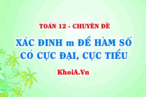 Xác định m để hàm số có cực đại cực tiểu - Toán lớp 12